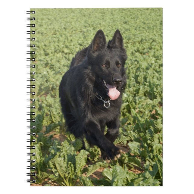 Caderno Espiral Cachorro Negro (Frente)