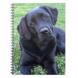 Caderno Espiral Cachorro Negro Labrador Cachorro Puppy