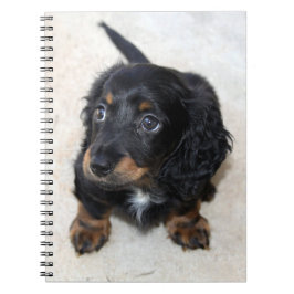 Caderno Espiral Cachorro-preto-branco-creme-pompa