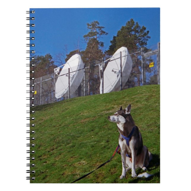 Caderno Espiral Cachorro rastreador (Frente)