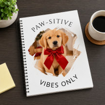 Cachorro Retriever Dourado Vibrações positivas ape