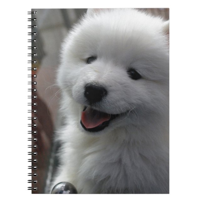 Caderno Espiral Cachorro Samoed (Frente)