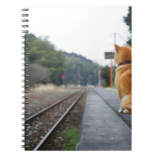 Caderno Espiral Cachorro sentado na estação de trem (Frente)