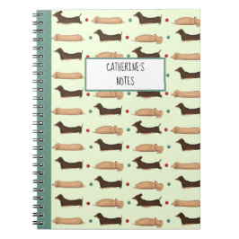 Caderno Espiral Cachorros longos - Notebook verde Dachshunicamente