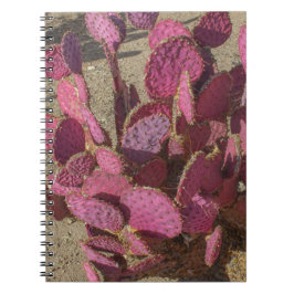 Caderno Espiral Cacto de Pera Espinhosa