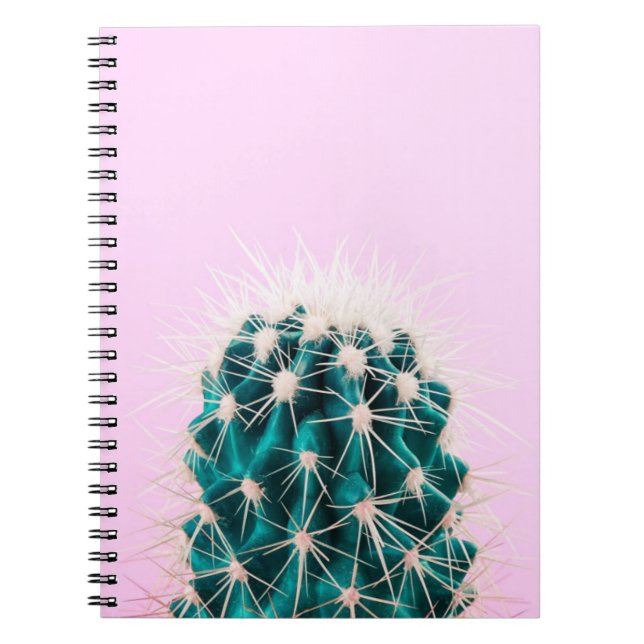 Caderno Espiral Cacto de Prickley no rosa (Frente)
