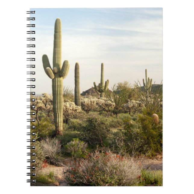 Caderno Espiral Cacto do Saguaro, arizona, EUA (Frente)