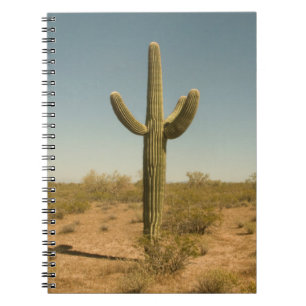 Caderno Espiral Cacto solitário
