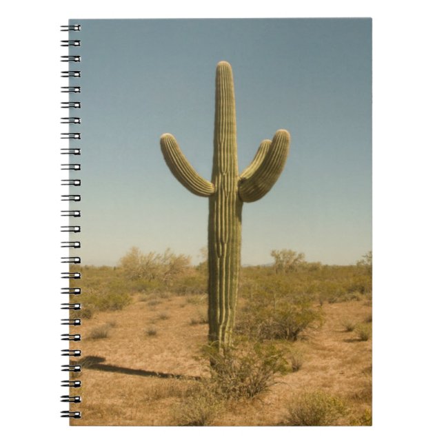 Caderno Espiral Cacto solitário (Frente)