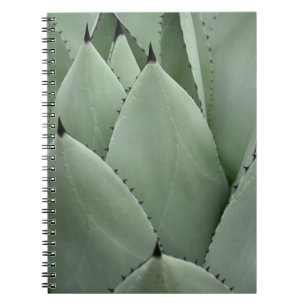 Caderno Espiral Cacto verde