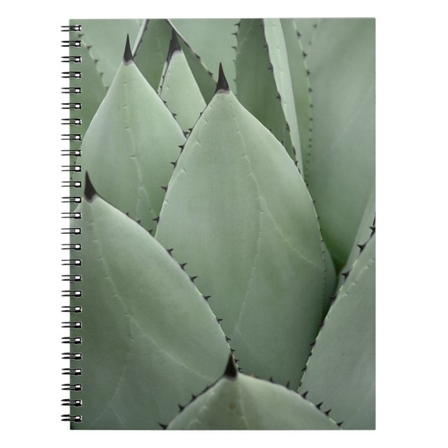 Caderno Espiral Cacto verde (Frente)