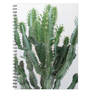 Caderno Espiral Cacto Verde: Fundo Branco Minimalista