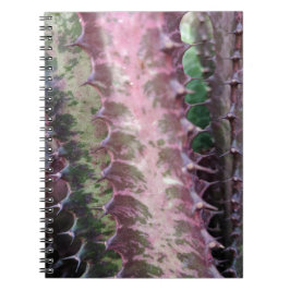 Caderno Espiral Cactus