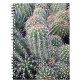 Caderno Espiral Cactus