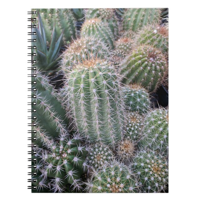Caderno Espiral Cactus (Frente)