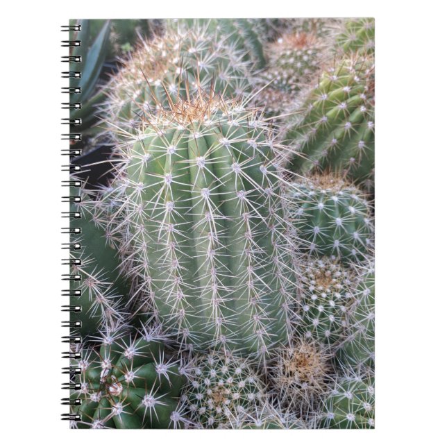 Caderno Espiral Cactus (Frente)