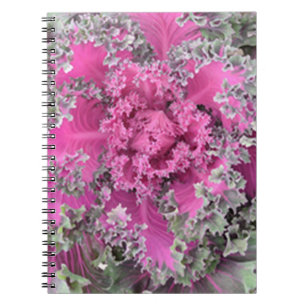 Caderno Espiral Cactus