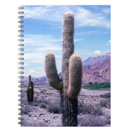 Caderno Espiral Cactus na província de Jujuy - Argentina Norte