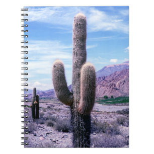 Caderno Espiral Cactus na província de Jujuy - Norte Argentina