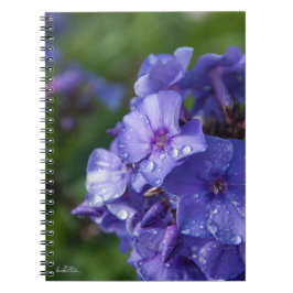 Caderno Espiral Caderneta flor violeta com orvalhar da manhã