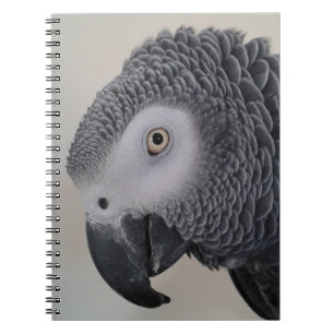 Caderno Espiral Caderno/Diário do papagaio do cinza africano
