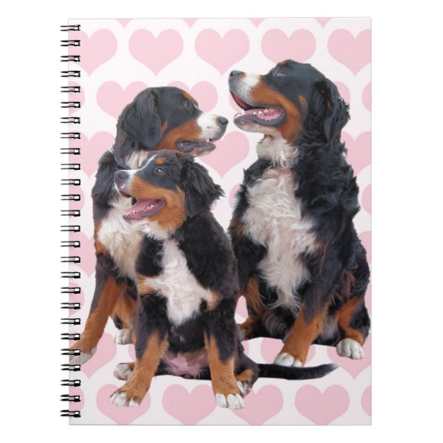 Caderno Espiral Cães de Montanha Berneses com Corações Rosa (Frente)