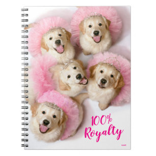 Caderno Espiral Cães Princesas em Tiaras