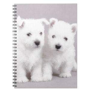 Caderno Espiral Cãezinhos