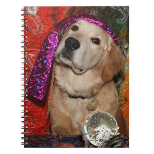 Caderno Espiral Caixa de fortuna dourado