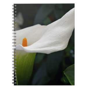 Caderno Espiral Calla Lily.JPG