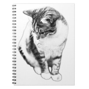 Caderno Espiral Calm Cat Buscando Notebook Retrato