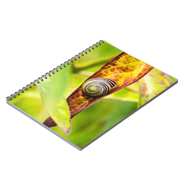 Caderno Espiral calma (Left Side)