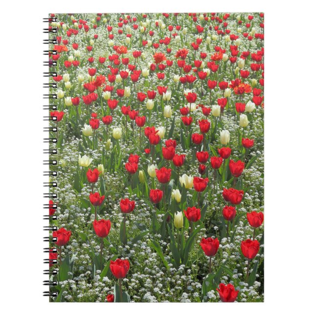 Caderno Espiral Cama de Tulipas (Frente)