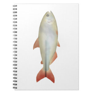 Caderno Espiral Camapuã