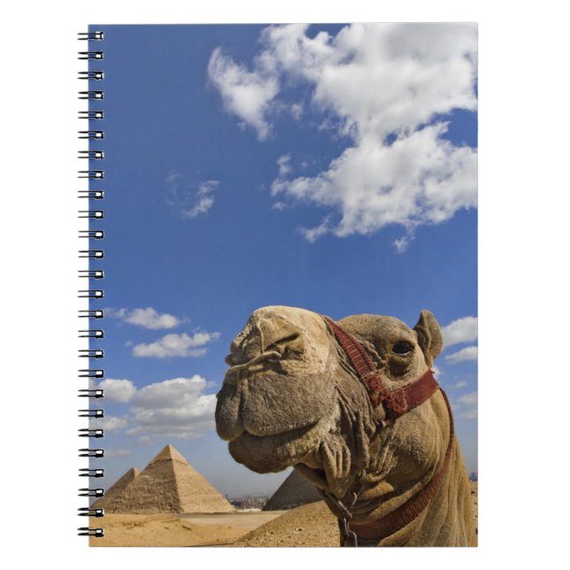 Caderno Espiral Camel em frente às pirâmides de Giza, Egito, (Frente)