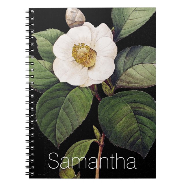 Caderno Espiral Camélia branca (Frente)