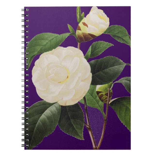 Caderno Espiral Camélia branca, 1833 (Frente)