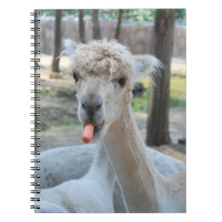 Caderno Espiral Camelo engraçado com uma cenoura