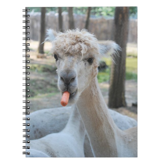 Caderno Espiral Camelo engraçado com uma cenoura (Frente)