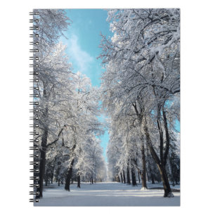 Caderno Espiral caminhada de inverno no parque