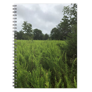 Caderno Espiral Caminhando na Floresta, Chester, Carolina do Sul P