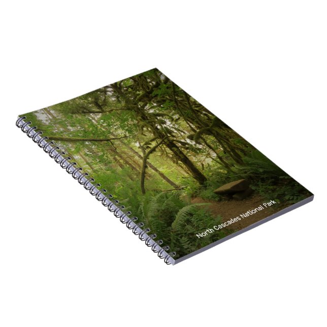 Caderno Espiral Caminho da Floresta Verde Pacífica em Washington (Lado Direito)
