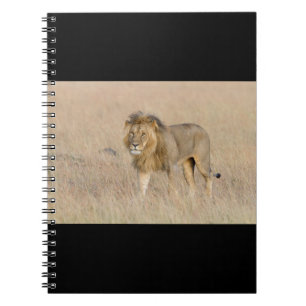 Caderno Espiral Caminho de leão