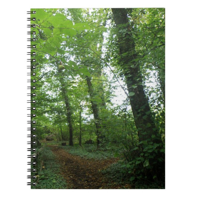 Caderno Espiral Caminho pelo Bloco de Notas de Floresta Verde (Frente)