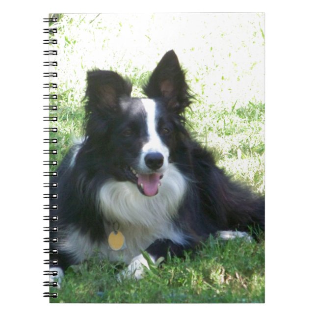 Caderno Espiral Camisetas de Borda Collie (Frente)