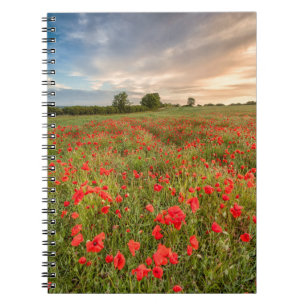 Caderno Espiral Campo das papoilas