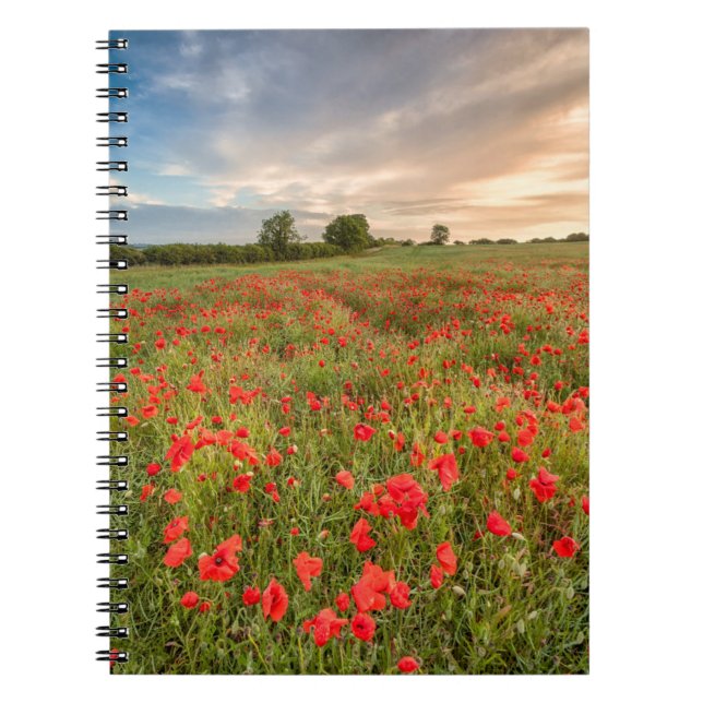 Caderno Espiral Campo das papoilas (Frente)