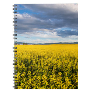Caderno Espiral Campo de Canola à Luz do Final da Tarde