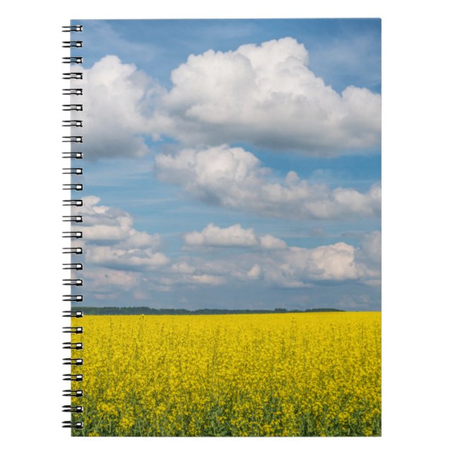 Caderno Espiral Campo de Canola & Nuvens (Frente)