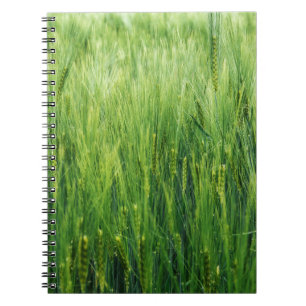 Caderno Espiral Campo de cevada verde, primavera.